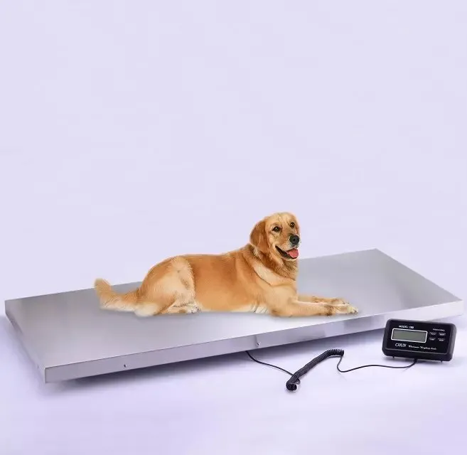 Q&H Wholesale Pet Platform Scale Digital 200KG 300KG 500kg Parcel Pet Weighing Floor Postal Scales Weigh Weight