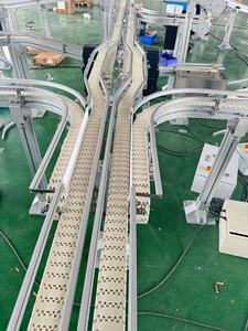 Gebogen Duurzame Pom Kunststof Verstelbare Snelheid Flexibele Ketting Transportband Voor Voedsel Dagelijkse Chemische Industrie - Product Image 5