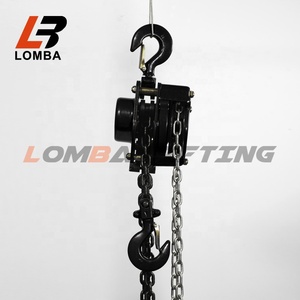 100 Kg 3M <span class=keywords><strong>Kawasaki</strong></span> Handbediende Kettingtakel 3M Handkatrol Voor Rolluikdeur Door Leverancier - Product Image 2