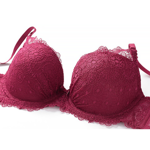 Women's <b>Sexy</b> Breathable Lace Push-Up <b>Bra</b> and Hipster Panty <b>Set</b> - Product Image 3