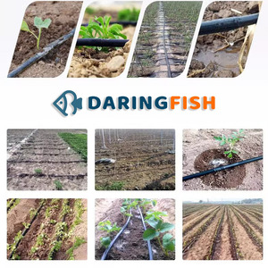 DaringFish Meilleur Prix Usine Tuyau d'irrigation <span class=keywords><strong>goutte</strong></span> <span class=keywords><strong>à</strong></span> <span class=keywords><strong>goutte</strong></span> agricole en PE 16mm avec goutteurs cylindriques pour système d'irrigation agricole Chine - Product Image 1