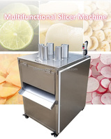 Bananen, groenten, mango's, uien, bananen, cassave, plantain chips snijmachine