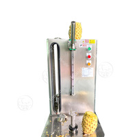Commerciële automatische fruit- en groenteschilmachine voor ananas, sinaasappel, mango, citroen, meloen en fruitverwerkingsapparatuur