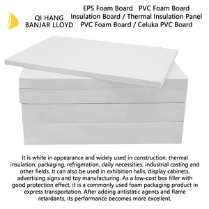 Panneau d'isolation en mousse de polystyrène expansé (EPS) blanc, taille personnalisable, pour isolation murale - Product Image 4