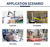 Top Vente Automatique Collaboratif Robot Palettiseur Carton Cas Sac Palettisation Machine Robot Gerbeur