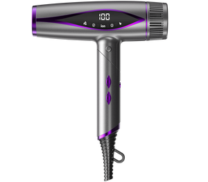 Nhà Máy Giá Nhà sản xuất gốc máy sấy tóc hộ gia đình tốc độ cao ion âm Salon Máy sấy tóc - Product Image 1