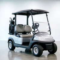 Hotel-Shuttle Elektro-Golfwagen für 2 Personen Besichtigungsfahrzeug mit Rücksitz-Kit für Resorts und Parks