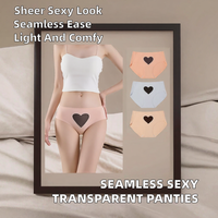 Groothandel dames dunne effen gekleurde naadloze low-rise dagelijkse mode transparante slip doorschijnende bikini OEM slips