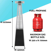 Chauffe-terrasse extérieur à gaz en acier inoxydable LUOQI, chauffage infrarouge sur pied avec protection anti-basculement, 45000 BTU GPL pour jardin