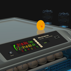 Lồng Ấp Trứng 220 12V 128 V Cho Gà Chim Cút Trứng Nở - Product Image 6