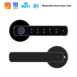 Graffiti Im Lặng Cửa Gỗ Văn Phòng & Căn Hộ Một Tay Mở Kẽm Hợp Kim Key Cho Tuya Ứng Dụng & Vân Tay Mật Khẩu Khóa Đám Mây - Product Image 3