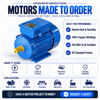 Moteur asynchrone monophasé à double condensateur BIOTE OEM norme IEC 2,2 kW 3 CV 110 V/220 V 60 Hz pour pompes à eau et machines