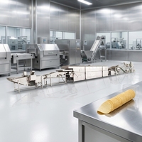 Productielijn voor samengestelde aardappelchips, capaciteit 500 kg/uur, automatische machine voor het vullen en stapelen van blikjes, PLC-gestuurd