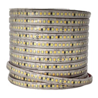 Bande LED néon AC220V, lumière linéaire, CCT double couleur, trois couleurs, super lumineuse, SMD2835, blanc chaud, blanc pur, bleu, 192 LED, IP20, IP65, OEM