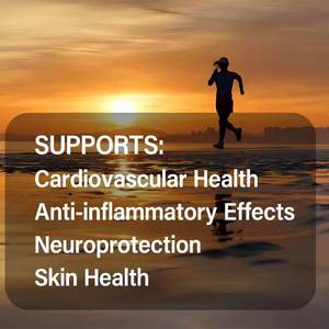 ओम ठंडा दबाया हुआ फ्लेक्सीसीड तेल नरम कैप्सूल निजी लेबल लिनोलेनिक एसिड सॉफ्टजेल विटामिन वयस्क 2-4 ग्राम पूरक का उपयोग करते हैं - Product Image 3