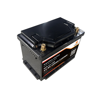 Batería de Litio Híbrida de Hidrógeno de 12V 100Ah para Respaldo de Celdas de Combustible/Actualizaciones de Motores de Pontón/Hidroponía IA - Product Image 2