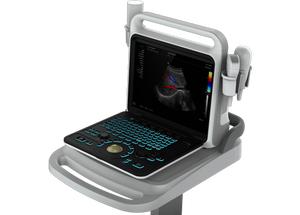 Dawei <span class=keywords><strong>Sonogram</strong></span> mesin peralatan dokter hewan hewan warna <span class=keywords><strong>Doppler</strong></span> Ultrasound untuk domba dan anjing Ultrasound - Product Image 3