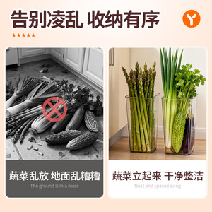 Transparent Rectangle Food Storage <b>Box</b> L Size See Through Kitchen Organizer For Vegetables And Herbs - Product Image 4