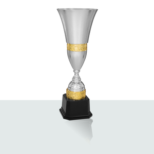 Trofeo Mosè argento 54,0 cm - Product Image 1