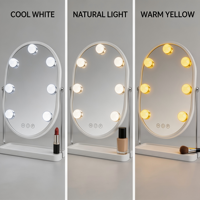 Oval LED Lighted Glass Metal Frame Vanity Mirror Touch Switch 1X Magnification 7 Dimmable LED Lights Storage Tray USB