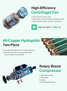Deshumidificador Industrial de Alta Presión para Calefacción - Eliminación de <span class=keywords><strong>Humedad</strong></span> de Alta Eficiencia con Aumento de Temperatura - Product Image 6