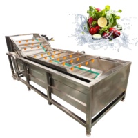 VBJX RVS Fruit- en groentewasmachine voor aardappelen, tomaten, wortelen, gember, met belletjesreiniging en droogfunctie