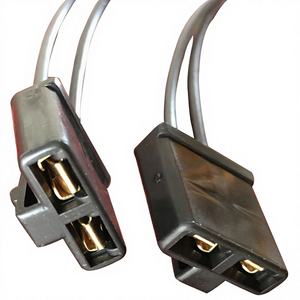 300mm 2-adriger Lichtmaschinen-Reparatur-Kabelbaum-Stecker, Kabelbaum-Pigtail für Chevy Buick CNCH Verkabelung - Product Image 1