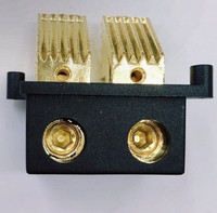 Terminal Blok Speaker Berlapis Emas, Terminal Blok Audio Mobil dengan Cangkang Transparan atau Hitam, 50V(DC) 120A 200A Lebih dari 300 Jenis