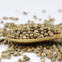 Poudre de protéines végétales d'extrait de chanvre biologique 60% non-OGM pressée à froid, qualité alimentaire végétalienne, nutrition sportive CAN/Drum