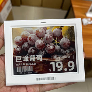 Etiquetas Electrónicas de Precio Digitales Bluetooth 5.0 de 4.2 Pulgadas, Sistema EAS de 2.4GHz, API ESL EPD, Pantalla de Tinta Electrónica - Product Image 4