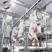 Ligne complète d'abattage de viande bovine Machine d'abattage et de décapage automatiques à haute productivité avec roulement moteur Capacité 200