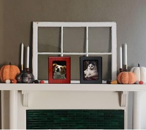 איכות סופר Rosewood ldns תיבת חם מכירת מחיר נמוך credns כלב עם מסגרת תמונה - Product Image 6