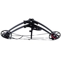 Arc à poulies de compétition M109A pour la chasse et la pêche, tir à l'arc, flèche, 40-65lbs, poignée en aluminium, branches laminées