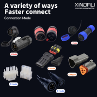 XDL10-EPBS5F/ND Nouvelle télécommande de grue de levage pour camion à 5 boutons avec protection IP65 et garantie d'un an