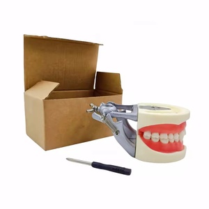 Modello Standard dei denti pratica lo studente dentale in resina acrilica modello 32 denti tipodoni dentali con articolatore DP - Product Image 6