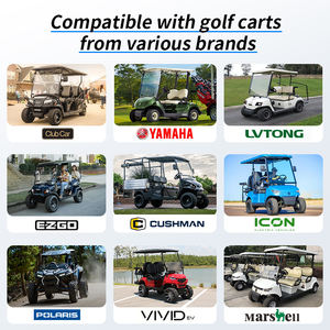 Tendens Duurzame Golfkar Lithium Ion Batterij Packs 36V 48V 72V 135ah Ingebouwde Bms 48V Lifepo4 Batterij Te Koop - Product Image 6