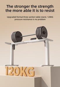 Escritorio Ergonomic Electric Stand up <strong>Desk</strong> Gamer Computer Table Gaming Work Height Adjustable <strong>Extendable</strong> <strong>Desk</strong> for Home Office - Product Image 5
