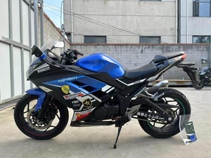 Motocicleta Kawasaki Mini Ninja <span class=keywords><strong>de</strong></span> <span class=keywords><strong>Segunda</strong></span> <span class=keywords><strong>Mano</strong></span>, <span class=keywords><strong>de</strong></span> Gasolina, con Motor <span class=keywords><strong>de</strong></span> 250cc y 400cc - Extremadamente Potente - Product Image 6