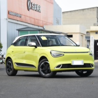 Dongfeng Nano 01 2025 430 Air Plus Smart + Max Comodidad interior y tecnología para uso familiar Mini coche eléctrico Nano 01