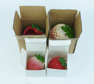 Nichoirs pour crabes ermites, design fraise-<span class=keywords><strong>ananas</strong></span>, sculpture en résine écologique, modèles grands et petits, pour aménagement paysager naturel de plage et de terrains pour animaux - Product Image 6