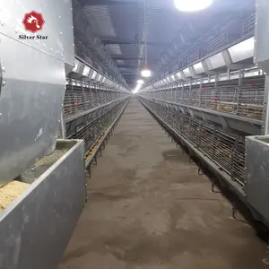 Automatic Broiler Cage System For Fattening Chicken