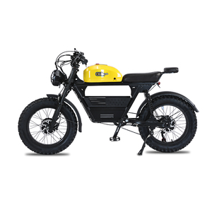 3000W 1500W * 2 motores duales bicicleta eléctrica 20*4,5 pulgadas todoterreno neumático grueso doble suspensión motocicletas Dirt Ebike EE. UU. libre de impuestos - Product Image 3