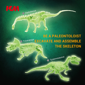 Kit d'pelle et squelette de <span class=keywords><strong>dinosaure</strong></span>, 4 pièces, brillent dans la nuit, jouet dishdateur, loisirs pour enfants, offre spéciale - Product Image 3