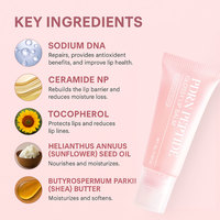 Baume à lèvres repulpant PDRN Peptide Jelly Gloss Brillant et Éclatant, Hydratant et Teinté, Marque Privée