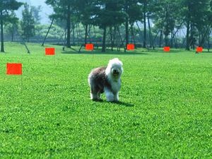 ธงขนาดเล็กคุณภาพสูงแบบดิจิทัล PVC สำหรับตกแต่งสนามกลางแจ้ง  ธงสำหรับทำเครื่องหมาย  ขายส่งตามสั่ง - Product Image 5