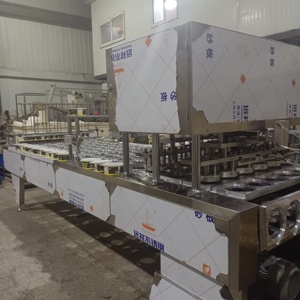 Заводское нестандартное упаковочное оборудование для йогурта, машина для наполнения лапши - Product Image 6