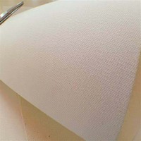 Rouleau vierge de toile de coton Offre Spéciale Spray de peinture à l'eau Peintures décoratives et peintures de fond rouleau de toile pour l'impression