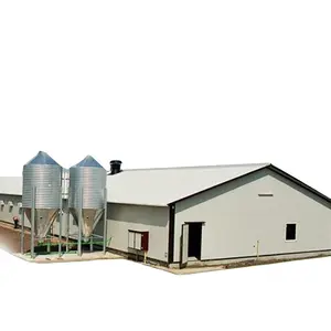 China Prefab Steel Structure Broiler Poultry Farm Shed Design Poultry House For 10000 Chickens