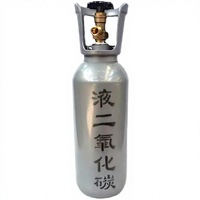 Cilindro de Acero de 10L para CO2, Mini Botella de Gas de Dióxido de Carbono Vacía de Alta Presión