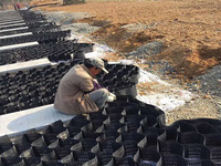 Grilles de gazon en géocell HDPE épaissies LUDE GB/TB pour allées 500 mm x 500 mm x 50 mm